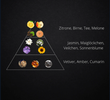 White Tea - Premium Duftöl Aromaöl von INFINITUM