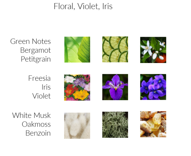 Deep Ocean - Premium Duftöl Aromaöl von INFINITUM