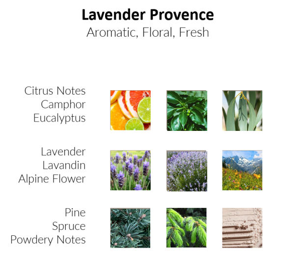 Lavender Provence